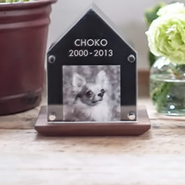 最愛のペットの思い出を ペットコティー