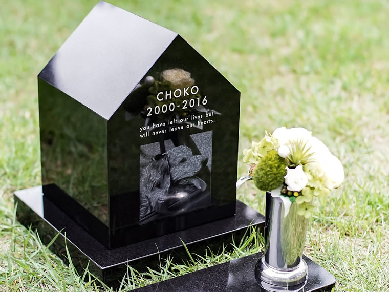 ペットコティーL