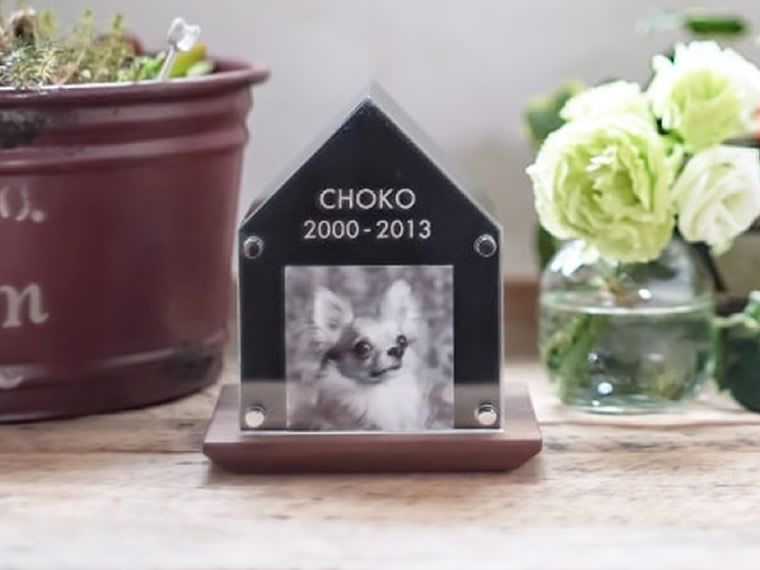 ペットコティーM